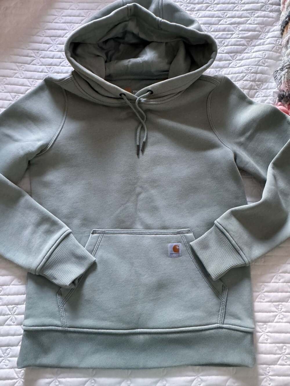 Carhartt Women's Iconic Clarksburg Pullover Hoodie in Sage Green